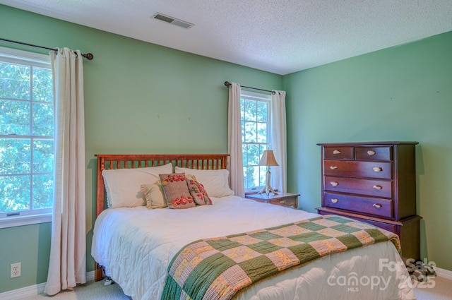 74 Challedon Dr, Candler, NC 28715 - bedroom featuring carpet flooring and a textured ceiling