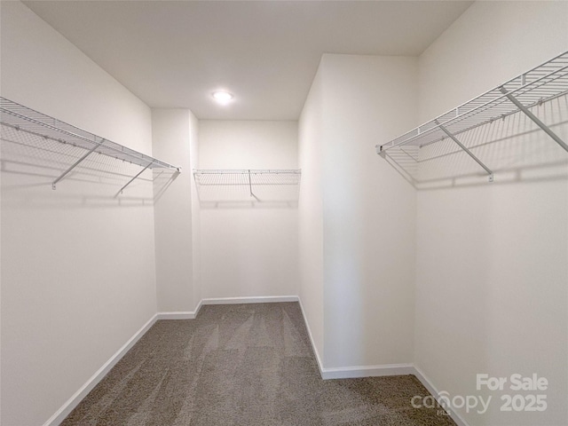1542 Antioch Dr, Conover, NC 28613 - spacious closet with carpet