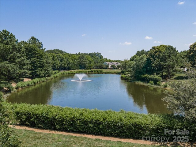 819 NE Dr Unit 73, Davidson, NC 28036 - photo 33