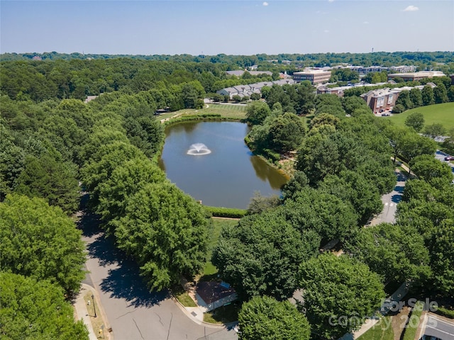 819 NE Dr Unit 73, Davidson, NC 28036 - photo 43