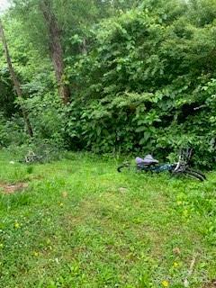 1422 Mitchell Glen St, Kannapolis, NC 28083 - view of nature