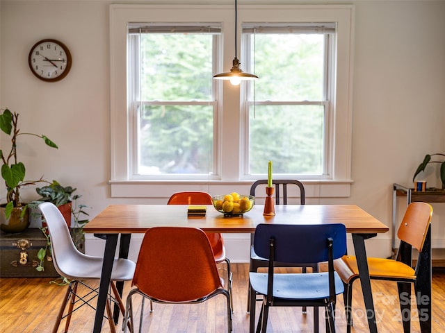 711 Reed St, Asheville, NC 28803 - photo 10