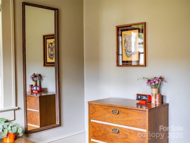 711 Reed St, Asheville, NC 28803 - photo 20