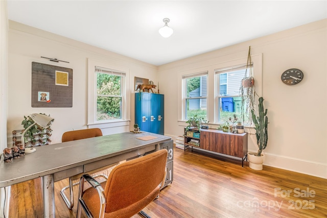 711 Reed St, Asheville, NC 28803 - photo 21