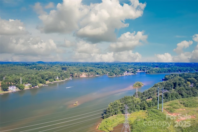 6620 Amos Smith Rd, Charlotte, NC 28214 - bird's eye view of a forest and a nearby body of water