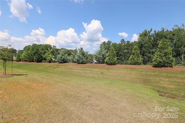 10240 Superb Ln, Charlotte, NC 28215 - view of green lawn