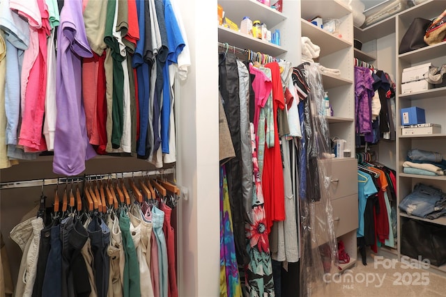 10240 Superb Ln, Charlotte, NC 28215 - view of spacious closet