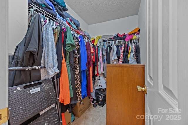1778 Pergola Pl, Charlotte, NC 28213 - walk in closet with carpet flooring