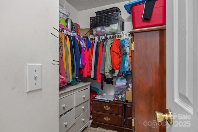 1778 Pergola Pl, Charlotte, NC 28213 - view of walk in closet