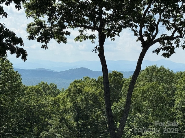 101 Beckwood Ct, Flat Rock, NC 28731 - photo 2