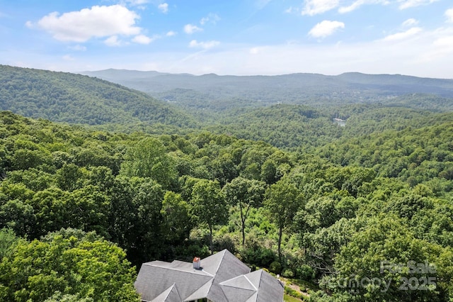 101 Beckwood Ct, Flat Rock, NC 28731 - photo 48