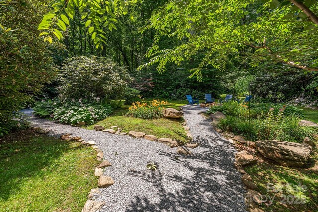 477 Locust Dr, Maggie Valley, NC 28751 - view of yard