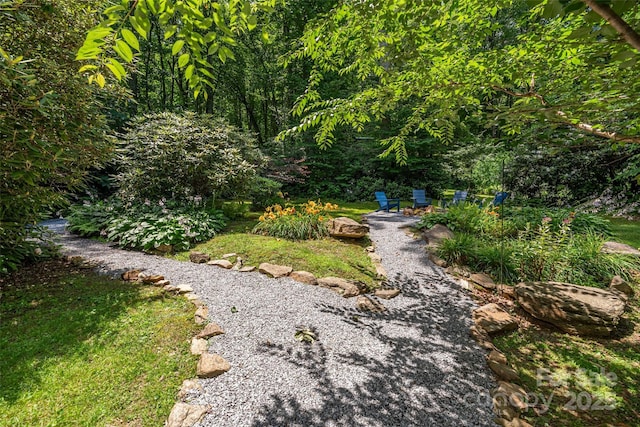 477 Locust Dr, Maggie Valley, NC 28751 - photo 29