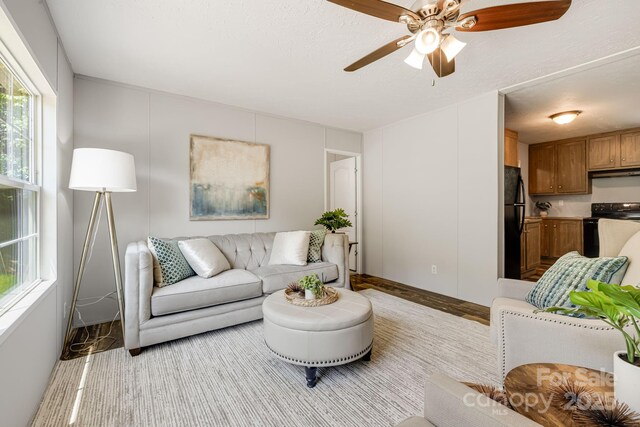 22 Bachelder Ln, Candler, NC 28715 - photo 6