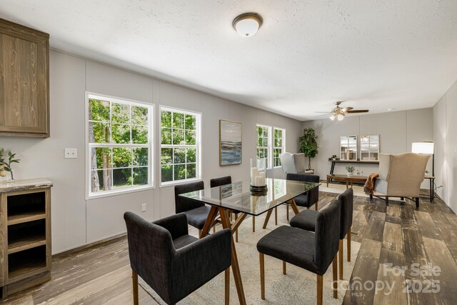 22 Bachelder Ln, Candler, NC 28715 - photo 20
