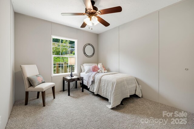 22 Bachelder Ln, Candler, NC 28715 - photo 24
