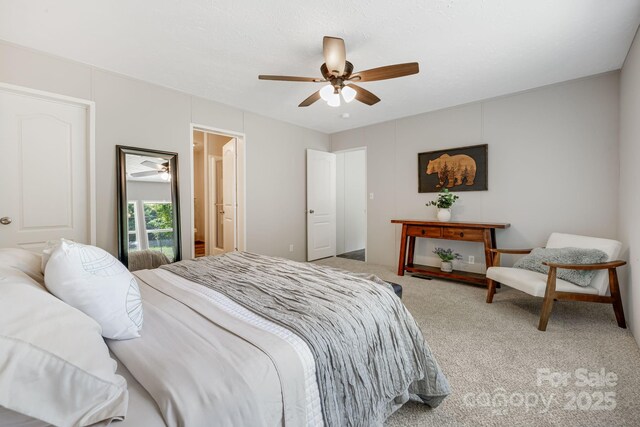 22 Bachelder Ln, Candler, NC 28715 - photo 30