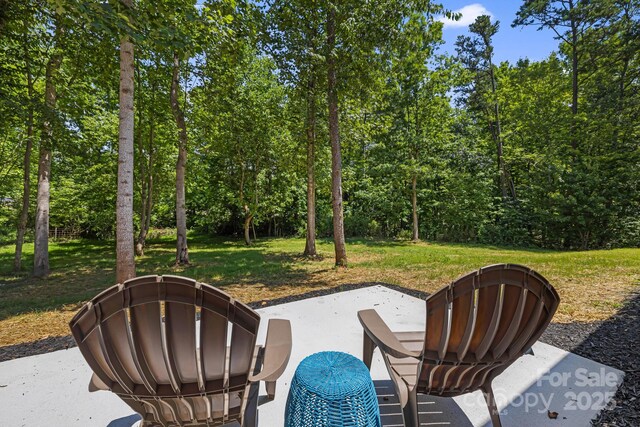 22 Bachelder Ln, Candler, NC 28715 - photo 34