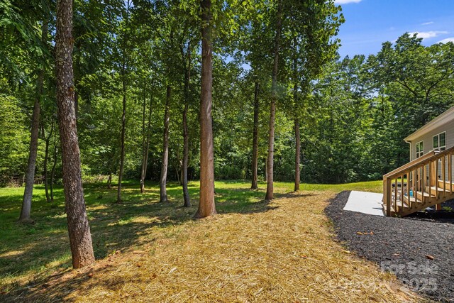 22 Bachelder Ln, Candler, NC 28715 - photo 36