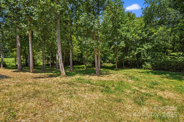 22 Bachelder Ln, Candler, NC 28715 - photo 40
