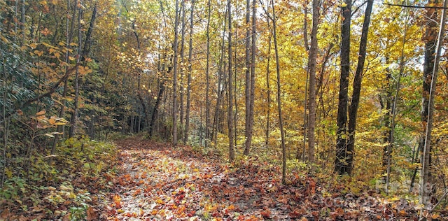 0000 Unahala Creek Rd, Bryson City, NC 28713