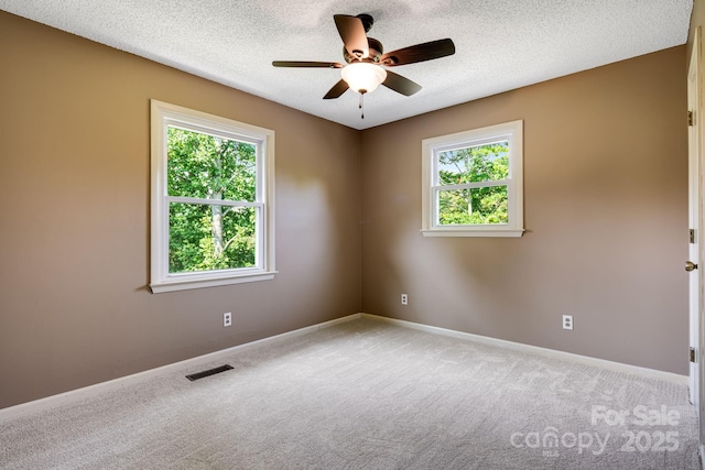 1360 Jupiter Rd, Weaverville, NC 28787 - photo 14