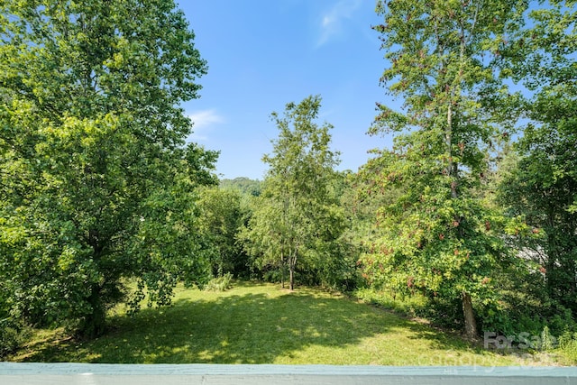 1360 Jupiter Rd, Weaverville, NC 28787 - photo 33