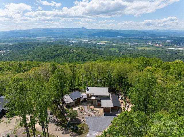 94 Laurel Ledge Way, Fletcher, NC 28732 - photo 42