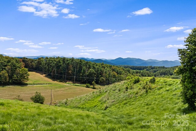 419 Oak Ln, Mars Hill, NC 28754 - photo 5