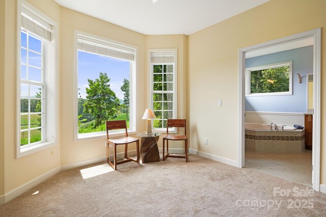 419 Oak Ln, Mars Hill, NC 28754 - photo 23