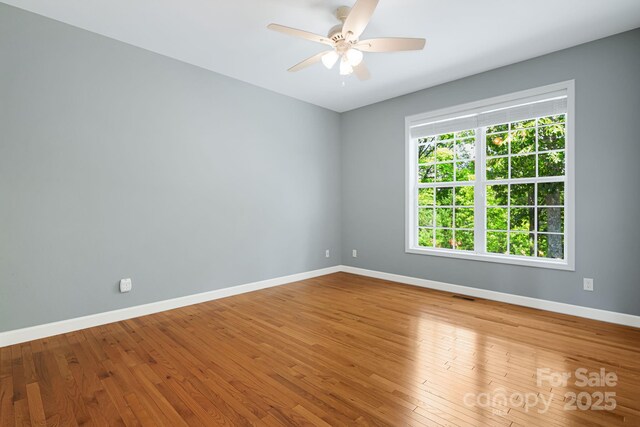 419 Oak Ln, Mars Hill, NC 28754 - photo 27