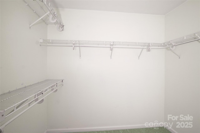 12520 Vantage Point Ln, Huntersville, NC 28078 - photo 20