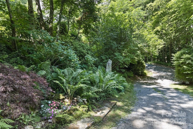 557 Tumbling Fork Rd, Waynesville, NC 28785 - photo 2