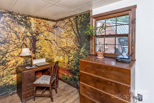 557 Tumbling Fork Rd, Waynesville, NC 28785 - photo 15