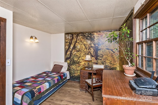 557 Tumbling Fork Rd, Waynesville, NC 28785 - photo 17