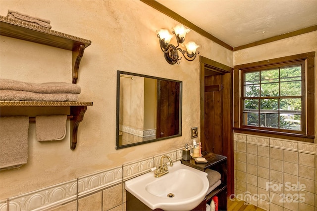 557 Tumbling Fork Rd, Waynesville, NC 28785 - photo 19