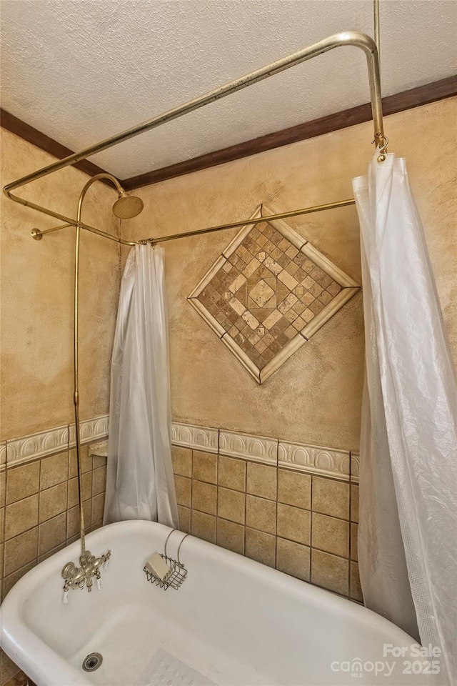 557 Tumbling Fork Rd, Waynesville, NC 28785 - photo 20