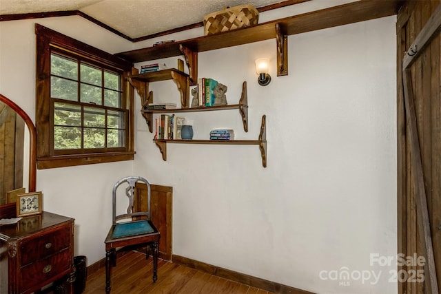 557 Tumbling Fork Rd, Waynesville, NC 28785 - photo 25