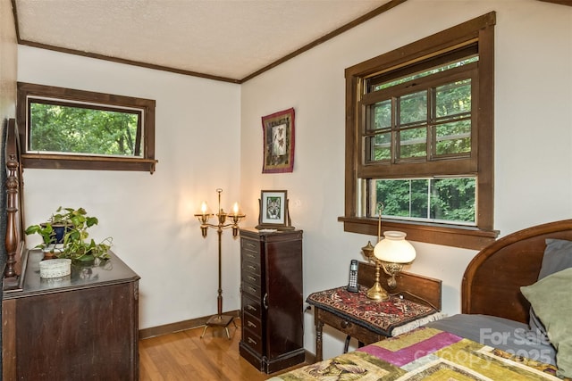 557 Tumbling Fork Rd, Waynesville, NC 28785 - photo 30