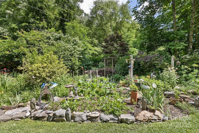 557 Tumbling Fork Rd, Waynesville, NC 28785 - photo 34