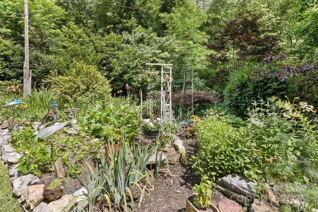 557 Tumbling Fork Rd, Waynesville, NC 28785 - photo 35