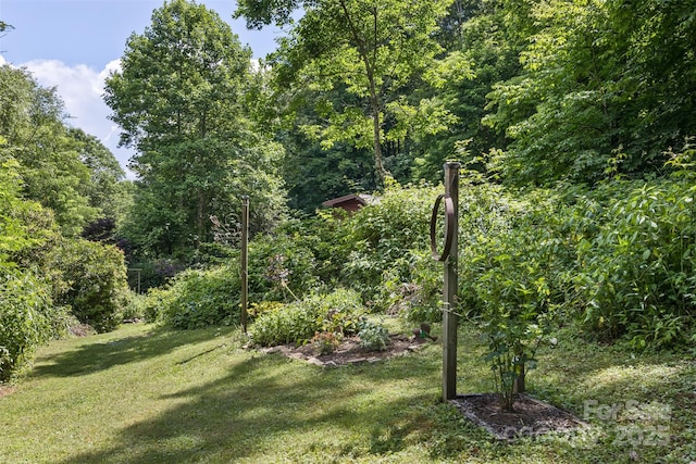 557 Tumbling Fork Rd, Waynesville, NC 28785 - photo 41