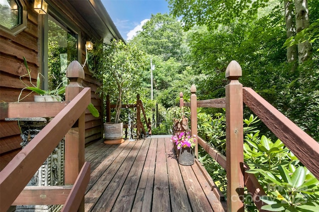 557 Tumbling Fork Rd, Waynesville, NC 28785 - photo 42