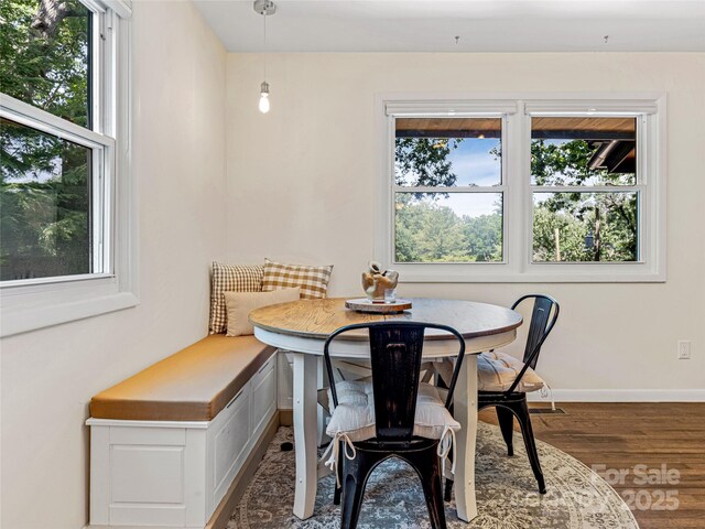 44 Broadview Ave, Asheville, NC 28803 - photo 9
