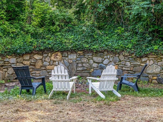 44 Broadview Ave, Asheville, NC 28803 - photo 34