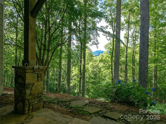 71 Chestnut Hill Rd, Spruce Pine, NC 28777 - photo 30