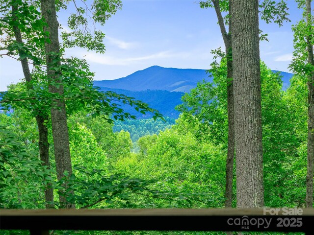 71 Chestnut Hill Rd, Spruce Pine, NC 28777 - photo 34