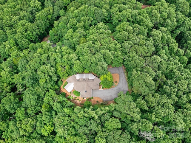 71 Chestnut Hill Rd, Spruce Pine, NC 28777 - photo 35