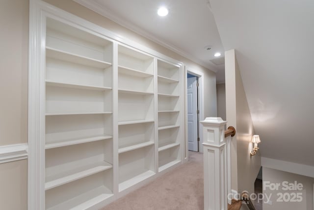 1503 Jack White Dr, Rock Hill, SC 29732 - walk in closet featuring carpet floors