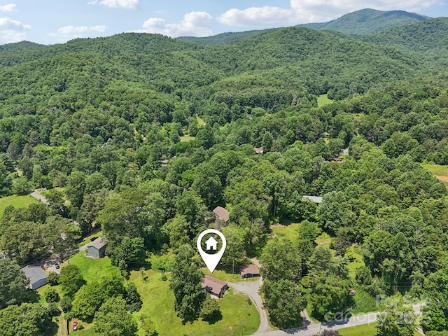 139 Trent Rd, Brevard, NC 28712 - photo 3